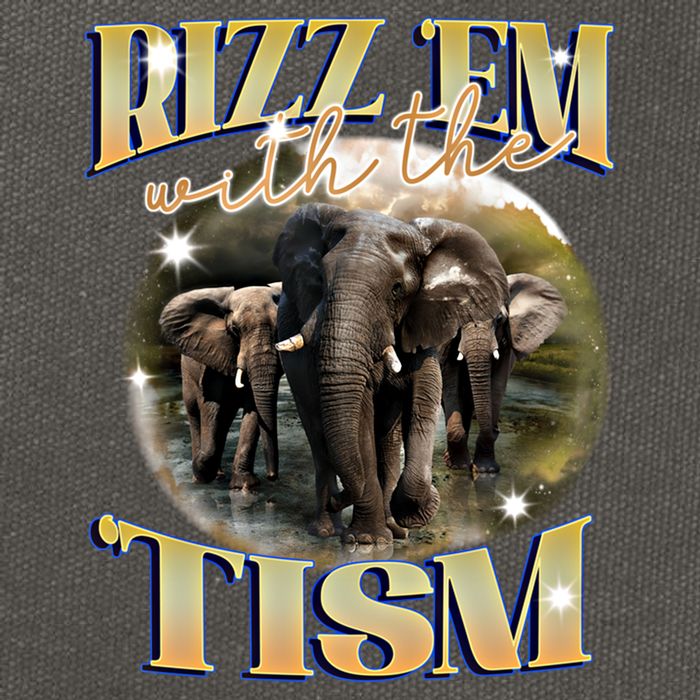 Autism Funny Rizz Em With The Tism Meme Autistic Elephant Cool Gift Cotton Canvas Backpack