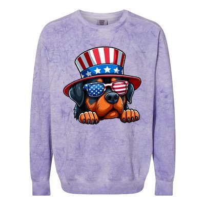 American Flag Rottweiler Dog Lover Funny 4th Of July Dog Gift Colorblast Crewneck Sweatshirt