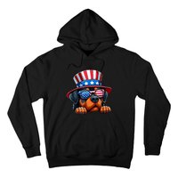 American Flag Rottweiler Dog Lover Funny 4th Of July Dog Gift Hoodie