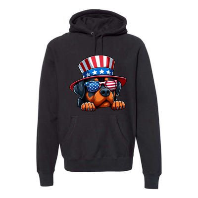 American Flag Rottweiler Dog Lover Funny 4th Of July Dog Gift Premium Hoodie