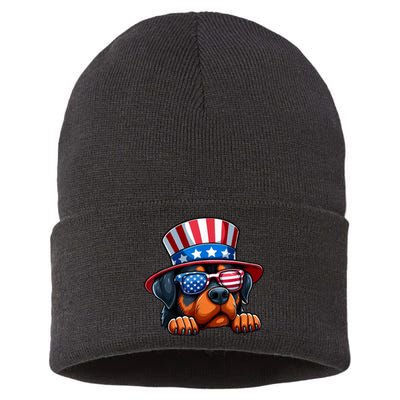 American Flag Rottweiler Dog Lover Funny 4th Of July Dog Gift Sustainable Knit Beanie