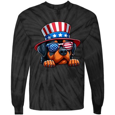 American Flag Rottweiler Dog Lover Funny 4th Of July Dog Gift Tie-Dye Long Sleeve Shirt