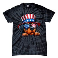 American Flag Rottweiler Dog Lover Funny 4th Of July Dog Gift Tie-Dye T-Shirt