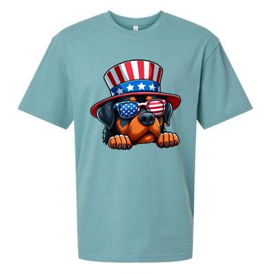 American Flag Rottweiler Dog Lover Funny 4th Of July Dog Gift Sueded Cloud Jersey T-Shirt