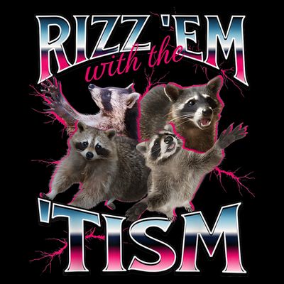 Autism Funny Rizz Em With The Tism Meme Autistic Racoon T-Shirt