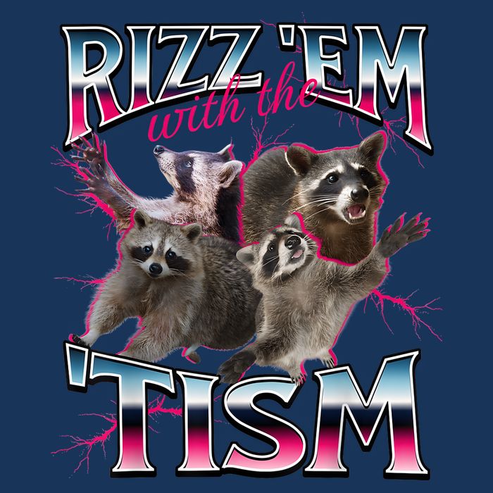 Autism Funny Rizz Em With The Tism Meme Autistic Racoon Infant Baby Jersey Bodysuit
