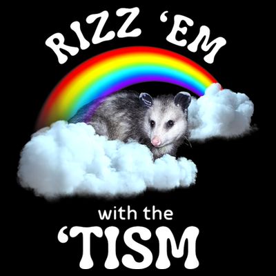 Autism Funny Rizz Em With The Tism Meme Autistic Opossum T-Shirt