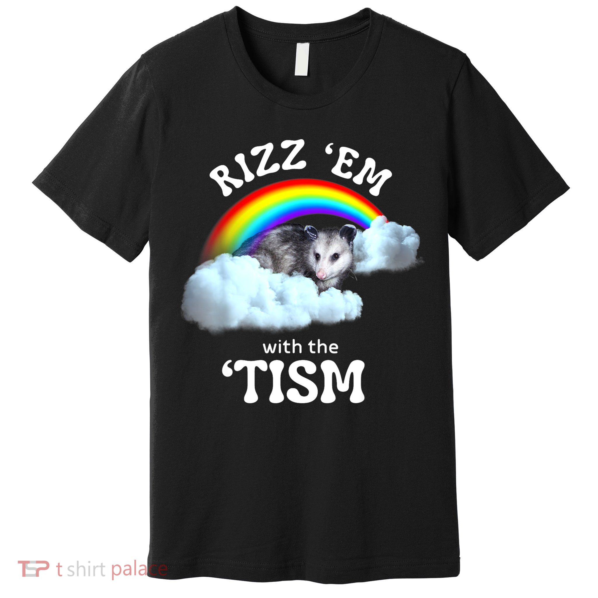 Autism Funny Rizz Em With The Tism Meme Autistic Opossum Premium T-Shirt