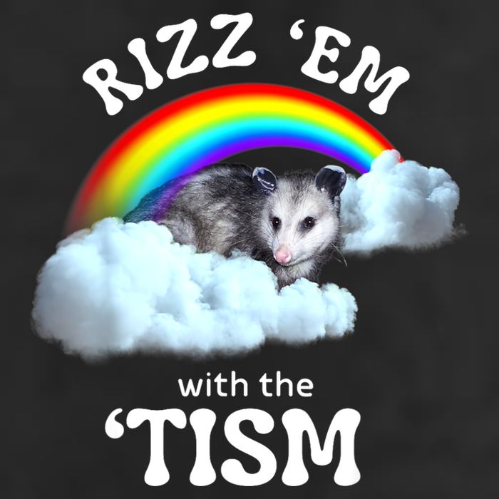 Autism Funny Rizz Em With The Tism Meme Autistic Opossum Hat