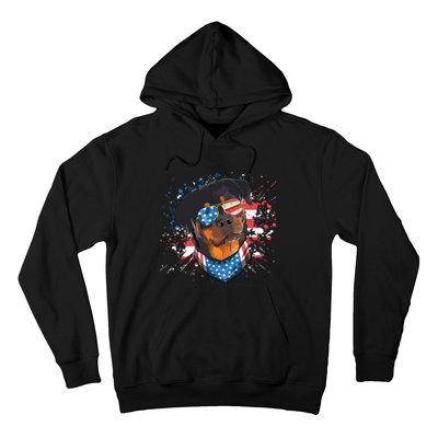 American Flag Rottweiler Dog Lover Funny 4th Of July Dog Hoodie