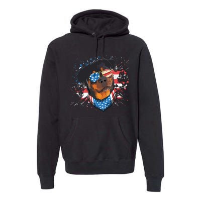 American Flag Rottweiler Dog Lover Funny 4th Of July Dog Premium Hoodie