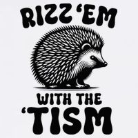 Autism Funny Rizz Em With The Tism Meme Autistic Hodgehog Women's V-Neck T-Shirt