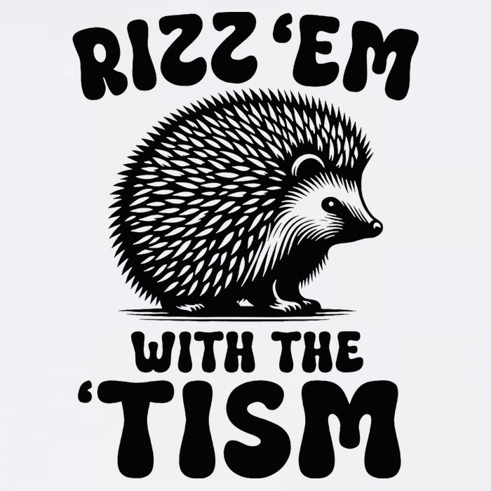 Autism Funny Rizz Em With The Tism Meme Autistic Hodgehog Women's V-Neck T-Shirt