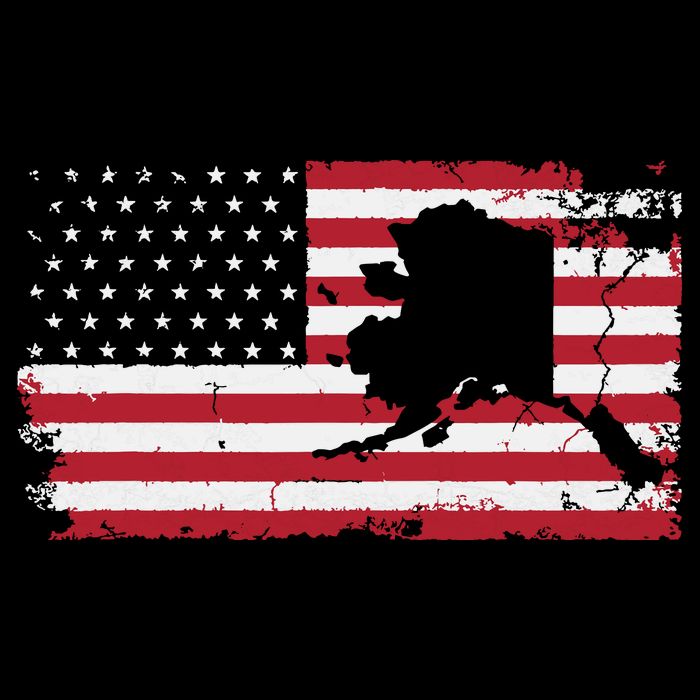 American Flag Retro Alaska 4th Of July Vintage Gift Usa Womens T-Shirt