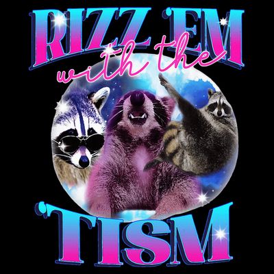 Autism Funny Rizz Em With The Tism Meme Autistic Opossum T-Shirt