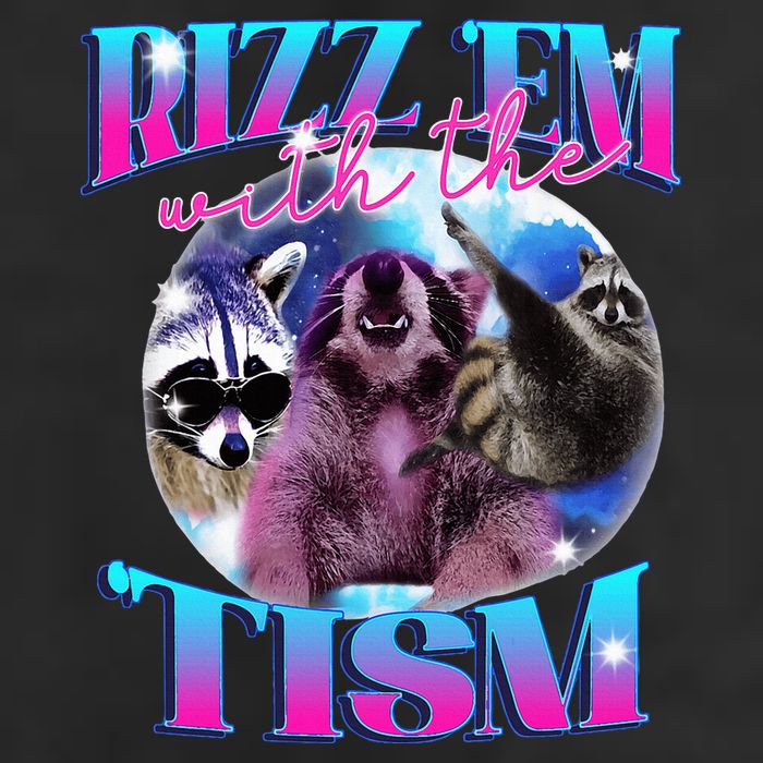 Autism Funny Rizz Em With The Tism Meme Autistic Opossum 25L Jumbo Tote
