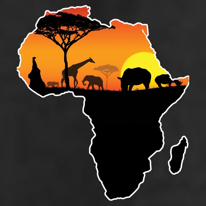 African Animals 7 Panel Mesh Trucker Snapback Hat