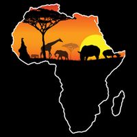 African Animals Poster