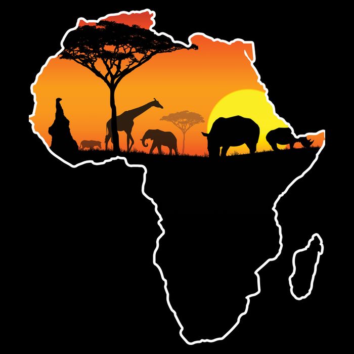 African Animals Poster