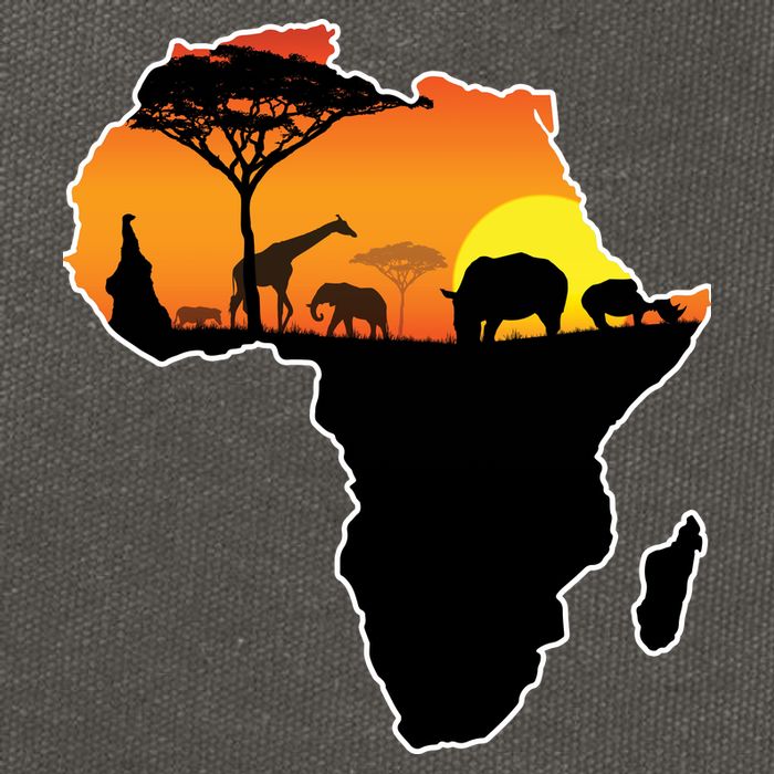 African Animals Cotton Canvas Backpack