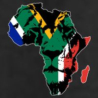 African Lion Flag 7 Panel Mesh Trucker Snapback Hat