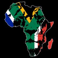 African Lion Flag 16 in Basic Backpack
