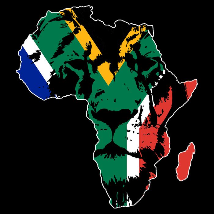 African Lion Flag 16 in Basic Backpack