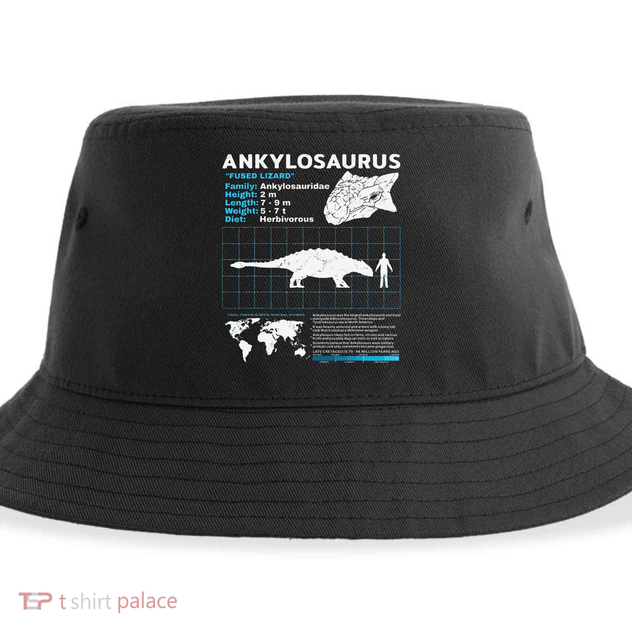 Ankylosaurus fact sheet Dinosaur Facts Gift Sustainable Bucket Hat
