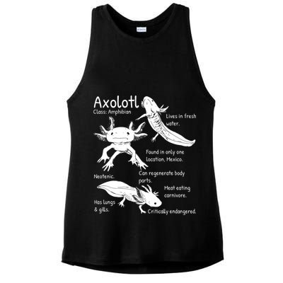 Axolotl Facts Species Types Endangered Animals Illustration  Ladies PosiCharge Tri-Blend Wicking Tank