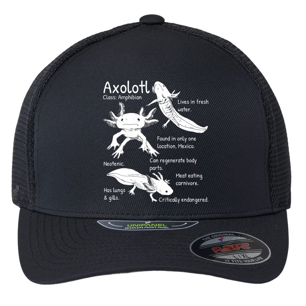 Axolotl Facts Species Types Endangered Animals Illustration  Flexfit Unipanel Trucker Cap
