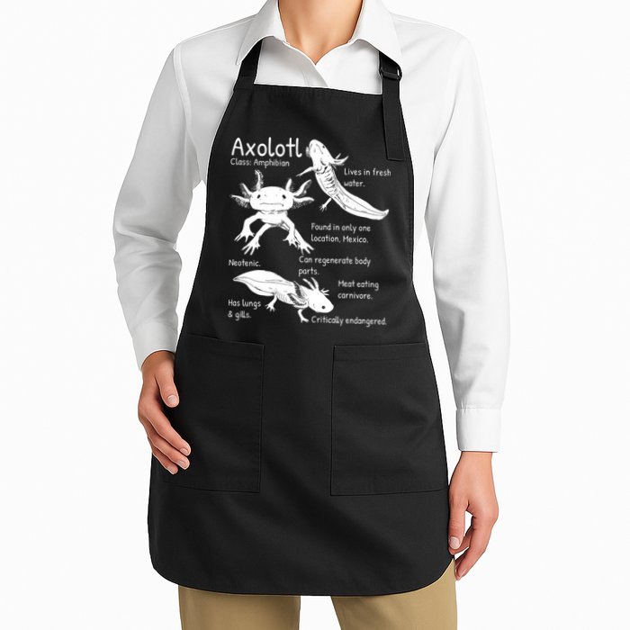 Axolotl Facts Species Types Endangered Animals Illustration  Apron