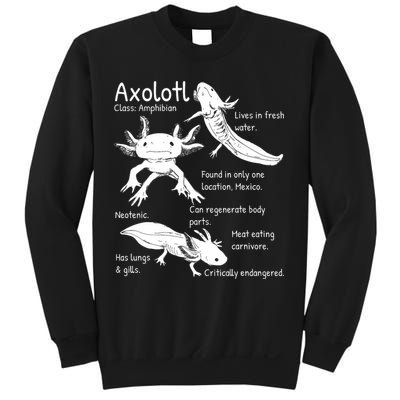 Axolotl Facts Species Types Endangered Animals Illustration  Sweatshirt