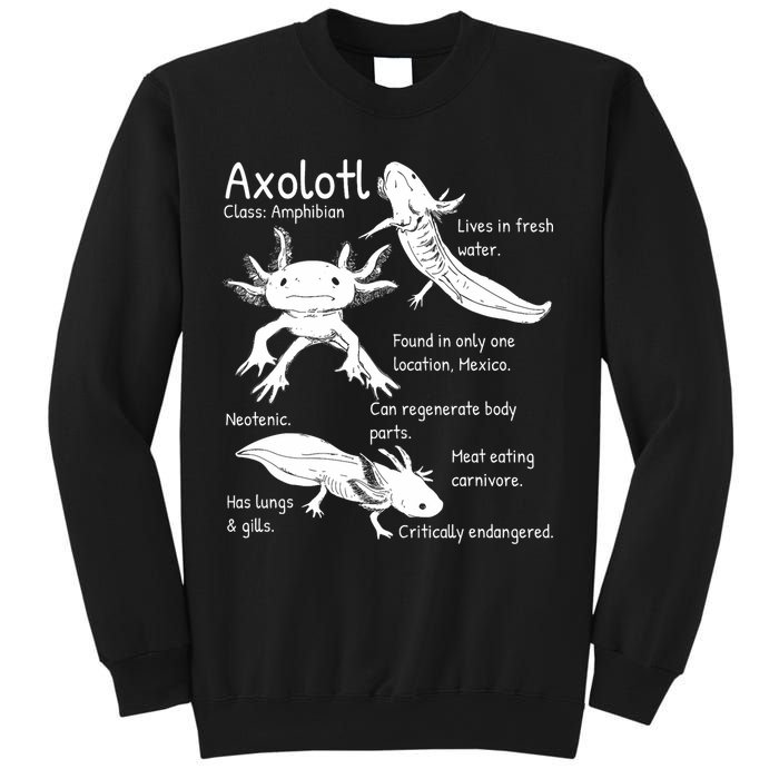 Axolotl Facts Species Types Endangered Animals Illustration  Sweatshirt