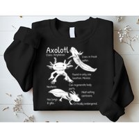 Axolotl Facts Species Types Endangered Animals Illustration  Sweatshirt