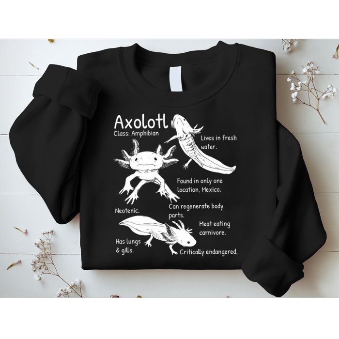 Axolotl Facts Species Types Endangered Animals Illustration  Sweatshirt