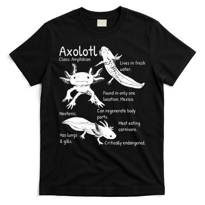 Axolotl Facts Species Types Endangered Animals Illustration  T-Shirt