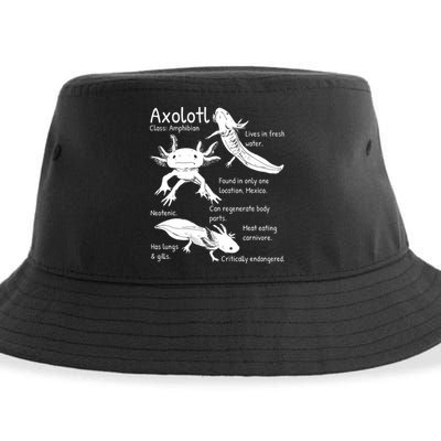 Axolotl Facts Species Types Endangered Animals Illustration  Sustainable Bucket Hat