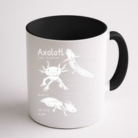 Axolotl Facts Species Types Endangered Animals Illustration  Mug