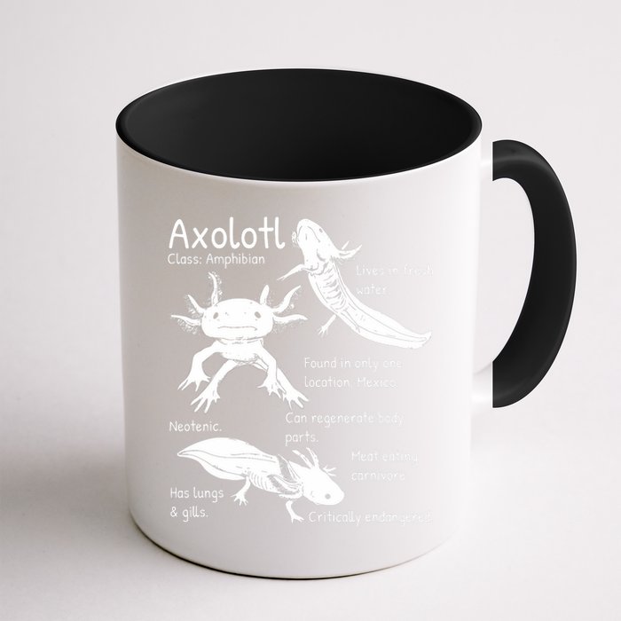 Axolotl Facts Species Types Endangered Animals Illustration  Mug