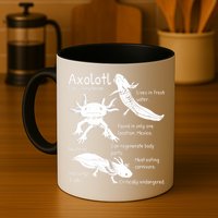 Axolotl Facts Species Types Endangered Animals Illustration  Mug