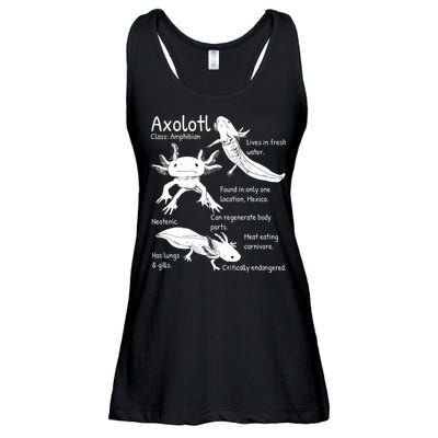Axolotl Facts Species Types Endangered Animals Illustration  Ladies Essential Flowy Tank