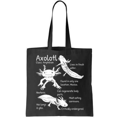 Axolotl Facts Species Types Endangered Animals Illustration  Bag
