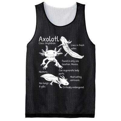 Axolotl Facts Species Types Endangered Animals Illustration  Mesh Reversible Basketball Jersey Tank