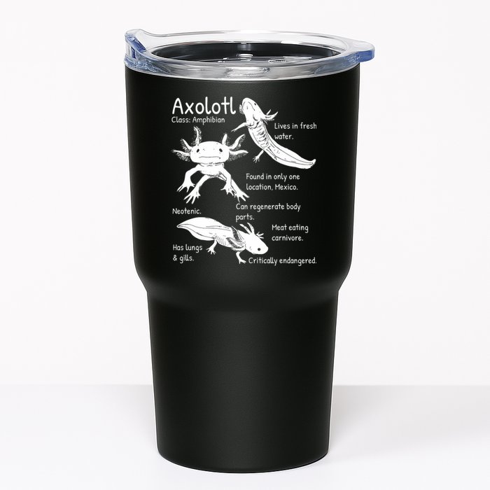 Axolotl Facts Species Types Endangered Animals Illustration  Tumbler