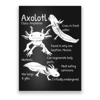 Axolotl Facts Species Types Endangered Animals Illustration  Poster