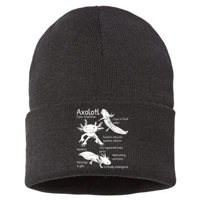 Axolotl Facts Species Types Endangered Animals Illustration  Sustainable Knit Beanie