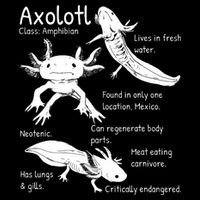 Axolotl Facts Species Types Endangered Animals Illustration  Baby Bodysuit