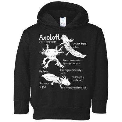 Axolotl Facts Species Types Endangered Animals Illustration  Toddler Hoodie