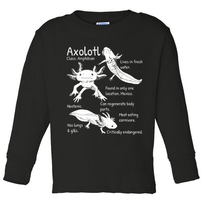 Axolotl Facts Species Types Endangered Animals Illustration  Toddler Long Sleeve Shirt