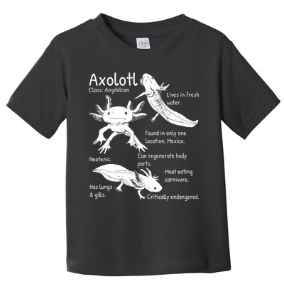 Axolotl Facts Species Types Endangered Animals Illustration  Toddler T-Shirt